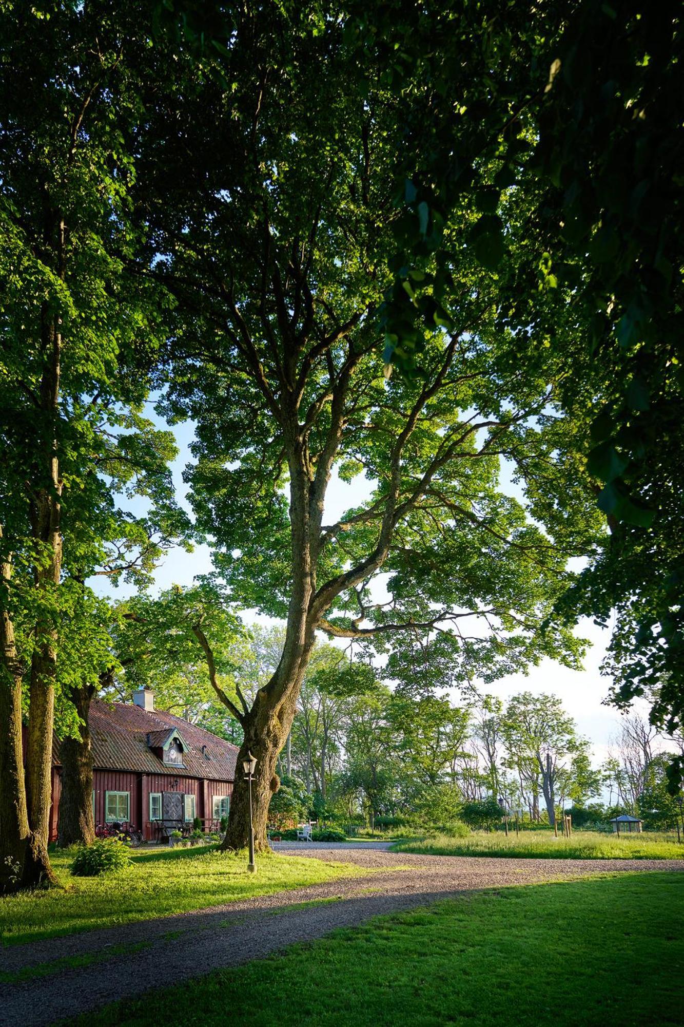 Kungs Starby Gard Bed And Breakfast Vadstena Exterior photo