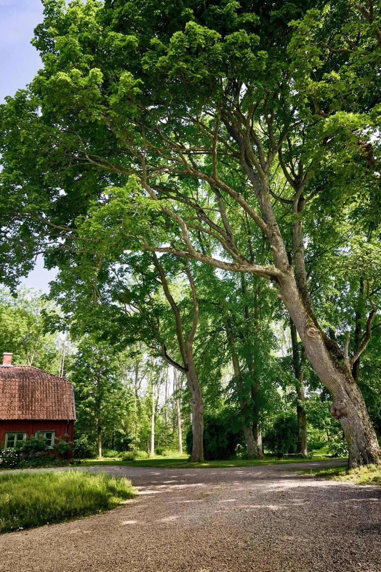 Kungs Starby Gard Bed And Breakfast Vadstena Exterior photo